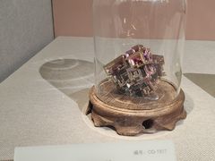 -湖南省地质博物馆