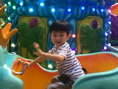 游乐设施-南宫五洲植物乐园