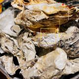 📣蚝英雄|好吃到爆棚——自助不限量❣️
