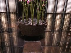 -上海璞麗酒店