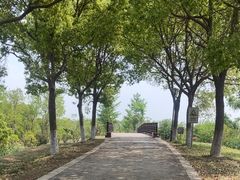 -南湖湿地公园