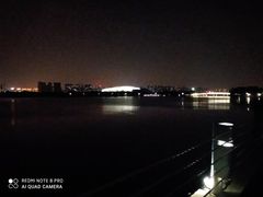 -贡湖湾湿地公园