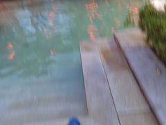 -咸宁万豪温泉谷度假区