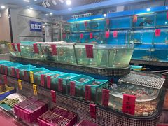 -海大大蒸汽海鲜餐厅·粤菜·特色小炒(欢乐颂店)