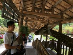 景点-碧峰峡风景区