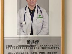 -爱侣宠医·鹦鹉专科·小型哺乳类·异宠专科(灵石路店)