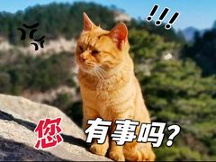 -华山风景名胜区