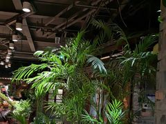 -丹江渔村(首都机场店)