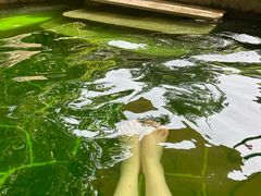 -郑州银基黄帝宫御温泉