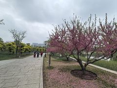 -西海子公园