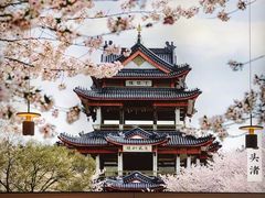 -蜜桃餐厅·伴山(绿宝广场店)