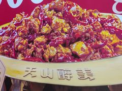 -天山醉美辣子鸡(文艺路店)