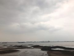 -海鸥岛