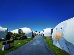 -漳州滨海火山岛自然生态风景区