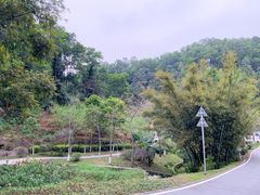 -火炉山森林公园