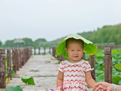 -西青郊野公园