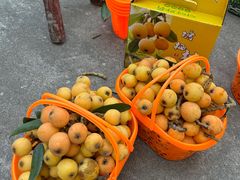 -塘栖枇杷特色园区