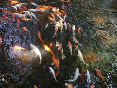 景点-晓港公园