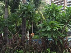 -三亚湾海居铂尔曼度假酒店