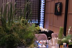 -RUMI日弥美容会所