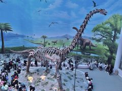 -辽宁古生物博物馆