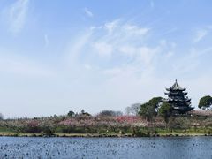 -上海海湾国家森林公园