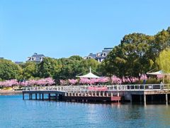 -新江湾城公园