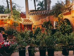 -园林美食城·本土农家菜(杨和镇店)