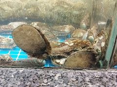 -渔码头食府(蓬莱阁店)