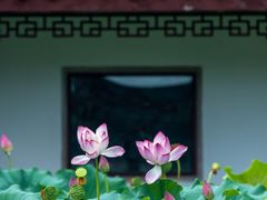 -北山街历史文化街区