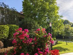 -福建鲤鱼洲酒店