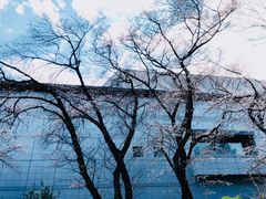-东京国立博物馆
