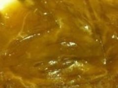 金牌潮州翅-金燕岛潮州酒楼