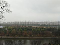 -上海市保健医疗中心(华东疗养院)