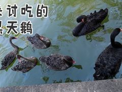 -广州动物园