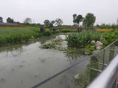 -云南邹记天麻火腿鸡(簇桥店)