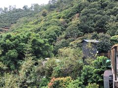 景观位-鲤鱼塘农家山庄