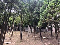 -天龙八部武侠城