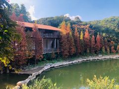 -广州市帽峰山景区
