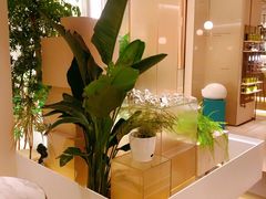 -théATRE 茶聚场(王府中環店)