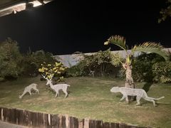 -班达拉奈克国际机场