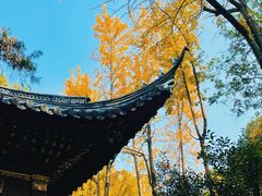 -汇龙潭