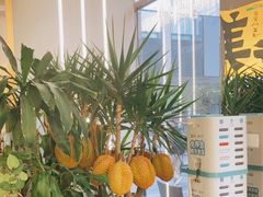 -猫王榴莲世家(三里屯SOHO商场店)
