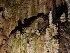 -波斯托伊纳溶洞