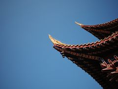 -东莞市大岭山森林公园