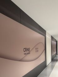 -CRAIE可瑞医美式医美·111SKIN