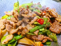 -米椰湘·辣椒炒肉