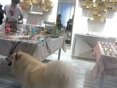 -肆兮眼镜·蔡司·徕卡战略合作店(大坪店)