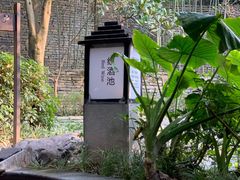 -融汇温泉