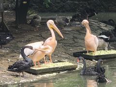 -黔灵山公园